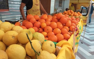 Coldiretti Marche: Campagna Amica festeggia le arance