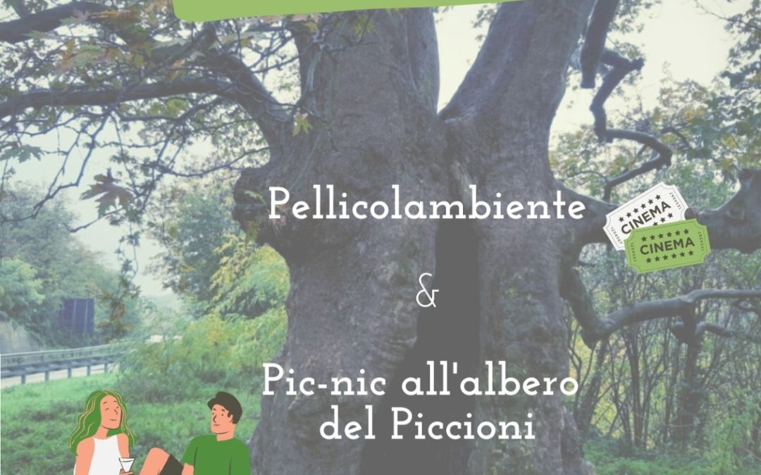 A Realtà Locali Marzia Mattioli sulla Festa dell’Albero