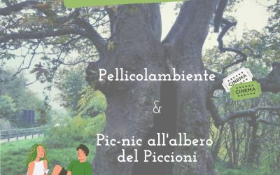 A Realtà Locali Marzia Mattioli sulla Festa dell’Albero