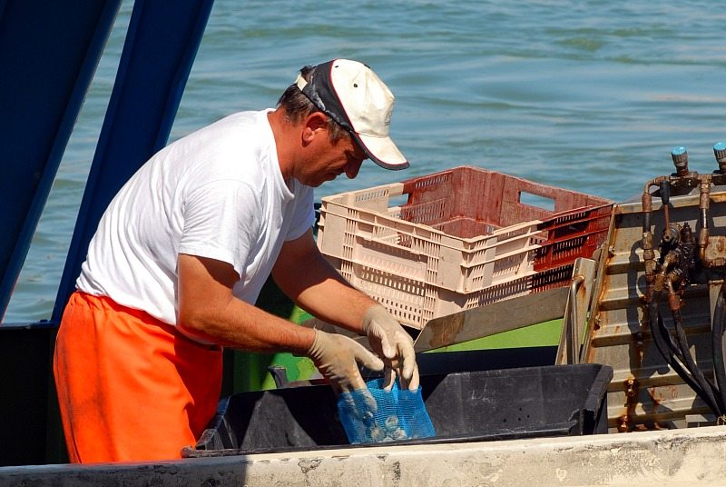 Pesca: la flotta di San Benedetto torna in mare tra tanti problemi